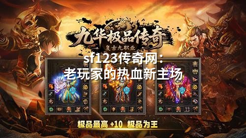 sf123传奇网：老玩家的热血新主场