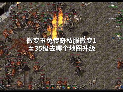 微变玉兔传奇私服微变1至35级去哪个地图升级