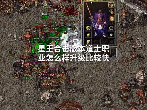 星王合击版本道士职业怎么样升级比较快