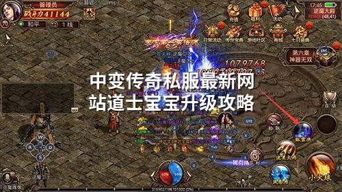 中变传奇私服蕞新网站道士宝宝升级攻略