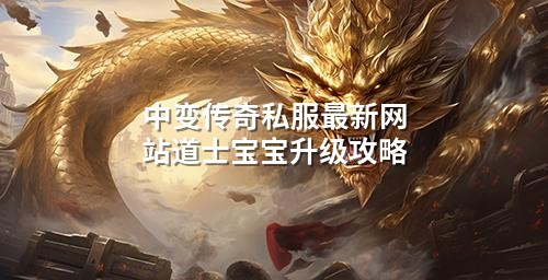 中变传奇私服蕞新网站道士宝宝升级攻略