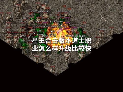 星王合击版本道士职业怎么样升级比较快