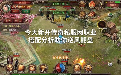 今天新开传奇私服网职业搭配分析助你逆风翻盘
