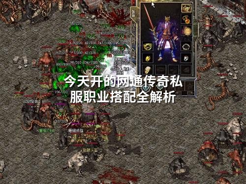 今天开的网通传奇私服职业搭配全解析