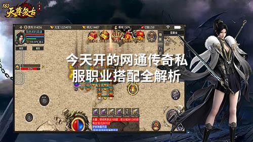 今天开的网通传奇私服职业搭配全解析