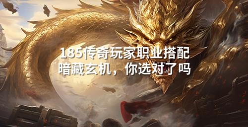185传奇玩家职业搭配暗藏玄机，你选对了吗
