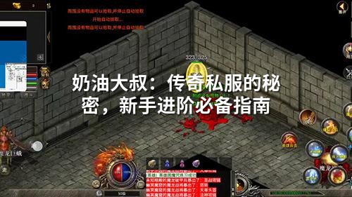 奶油大叔：传奇私服的秘密，新手进阶必备指南