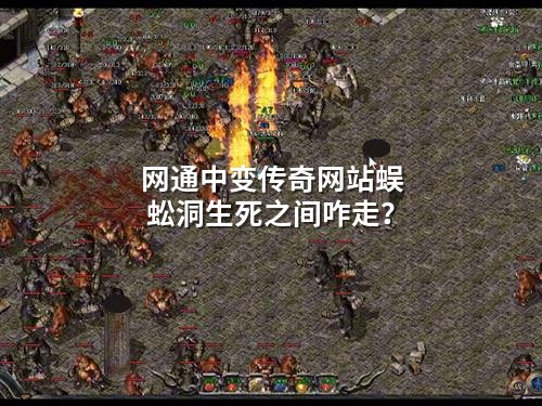 网通中变传奇网站蜈蚣洞生死之间咋走？