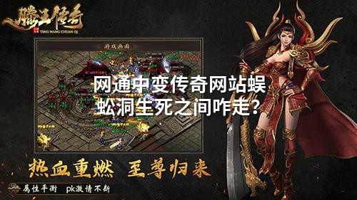 网通中变传奇网站蜈蚣洞生死之间咋走？