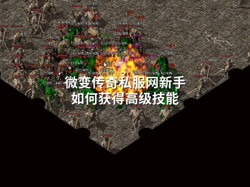 微变传奇私服网新手如何获得高级技能
