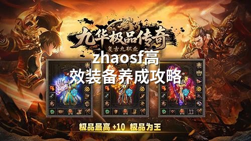 zhaosf高效装备养成攻略