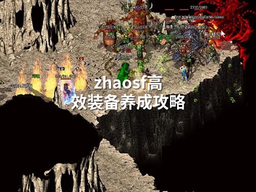 zhaosf高效装备养成攻略