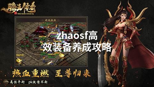 zhaosf高效装备养成攻略