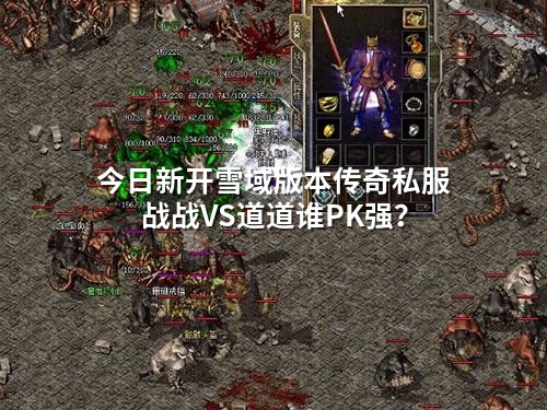 今日新开雪域版本传奇私服战战VS道道谁PK强？