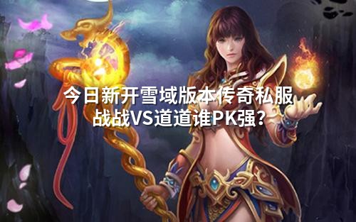 今日新开雪域版本传奇私服战战VS道道谁PK强？