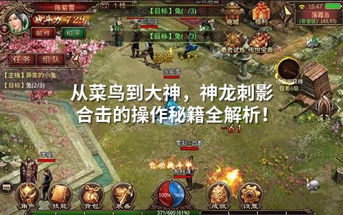 从菜鸟到大神，神龙刺影合击的操作秘籍全解析！