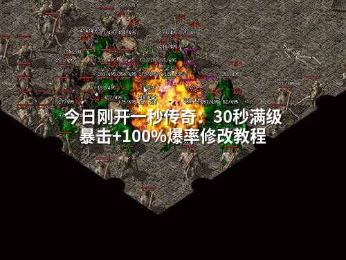 今日刚开一秒传奇：30秒满级暴击+100%爆率修改教程