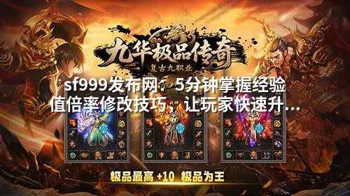 sf999发布网：5分钟掌握经验值倍率修改技巧，让玩家快速升级不卡关
