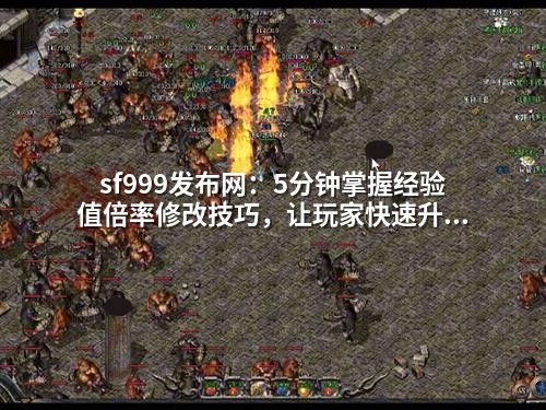 sf999发布网：5分钟掌握经验值倍率修改技巧，让玩家快速升级不卡关