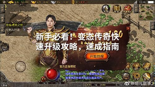 新手必看！变态传奇快速升级攻略，速成指南