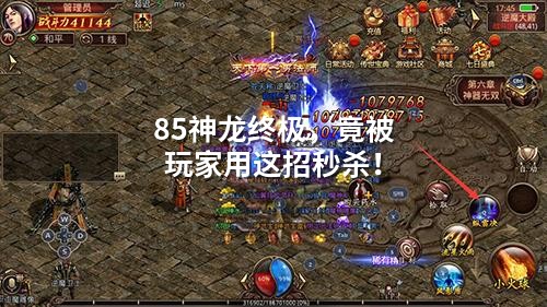 85神龙终极，竟被玩家用这招秒杀！