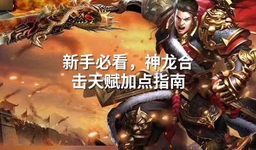 新手必看，神龙合击天赋加点指南