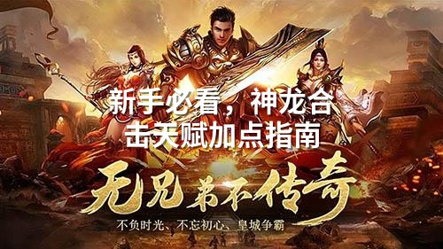 新手必看，神龙合击天赋加点指南
